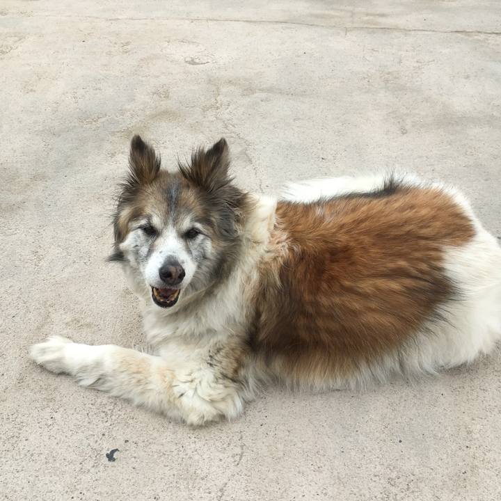 A97ce6d2 2e81 4633 94eb 0922e8f1bd43