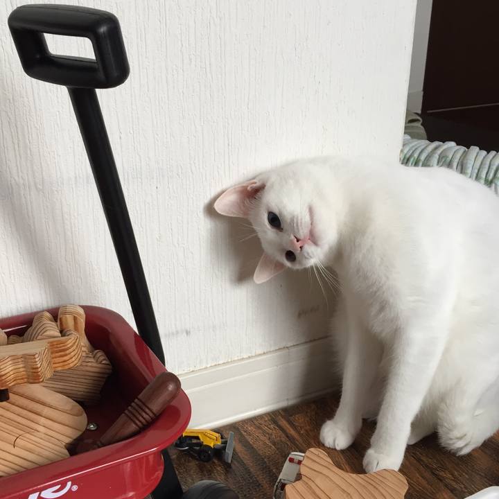 A97d2e6d 3d80 4c0a 8b22 69edc2e135e7