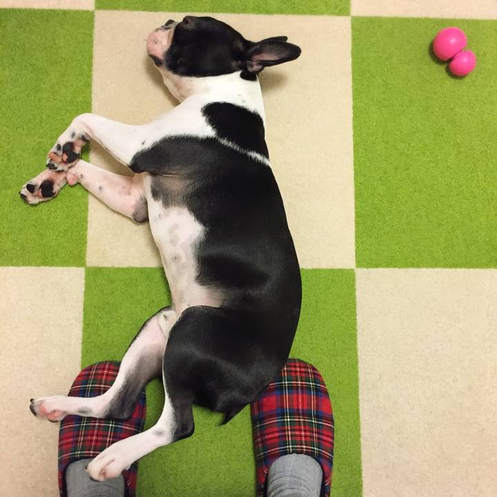 A97d3686 1faa 46e0 b23a 88baa7965670