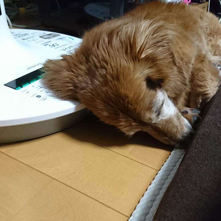 A97d372f cd5f 42e1 8998 d6b304019eef