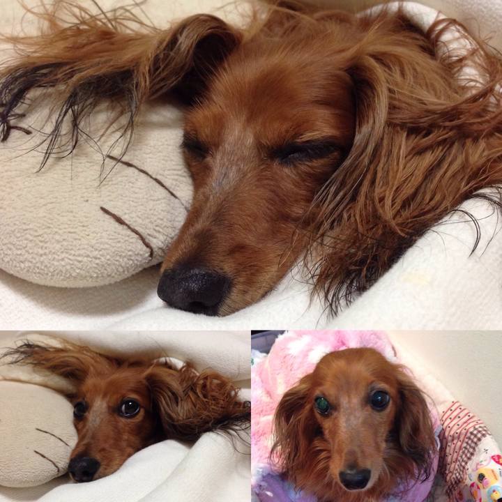 A97d9a96 eb59 4a06 8fb1 f6b36a3760b5