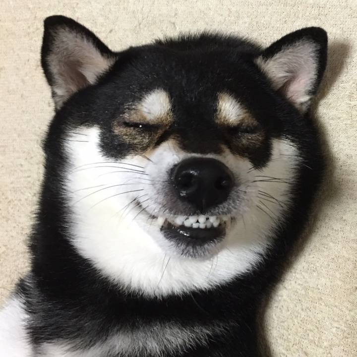 A97dcfea 47f8 4651 a215 54a610a1855b