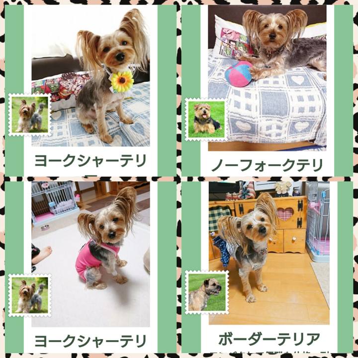 A97e0c20 b959 4e52 80b2 939c96b1227b