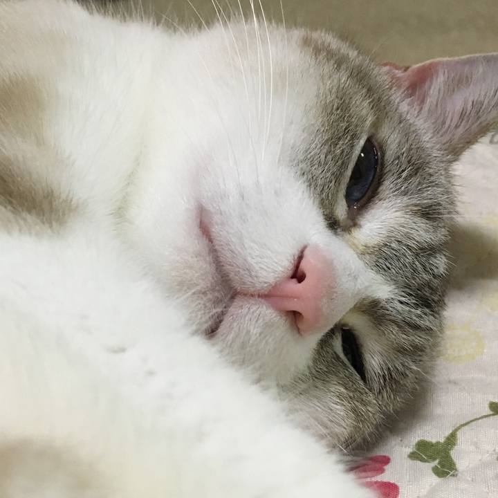 A97f3f8f 993e 4d97 828d cf5dcf383df1