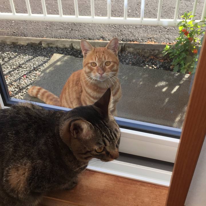 A97fcae5 0bd5 411f bc60 c67107717598