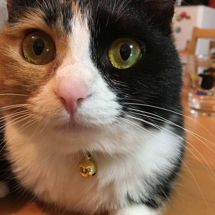 A9801b91 d85f 41f7 9546 aefc204b146f