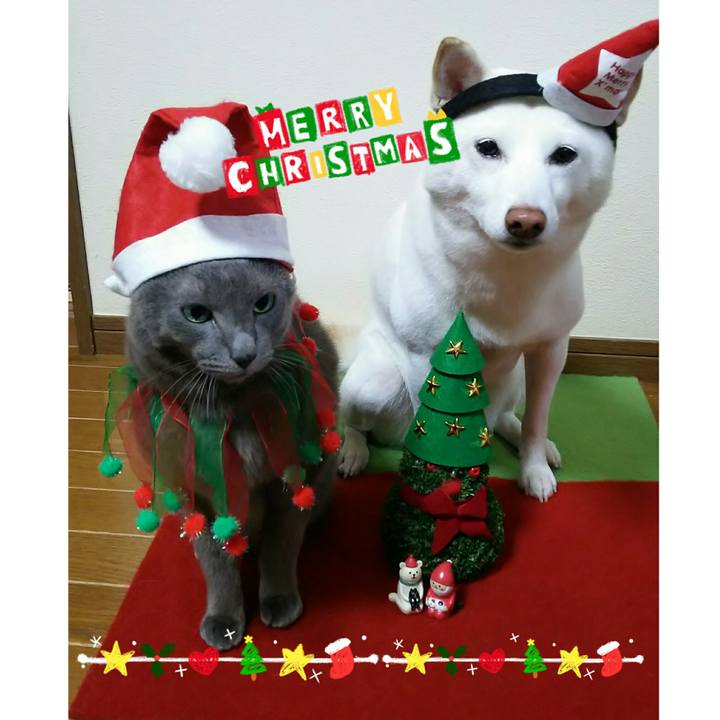 A9809e0f c46d 4c62 933e 4bc00b579a01