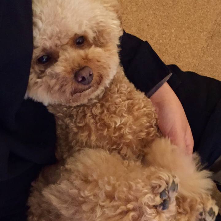 A981bbb2 ad6d 4096 b694 cb7c8f3c10dd