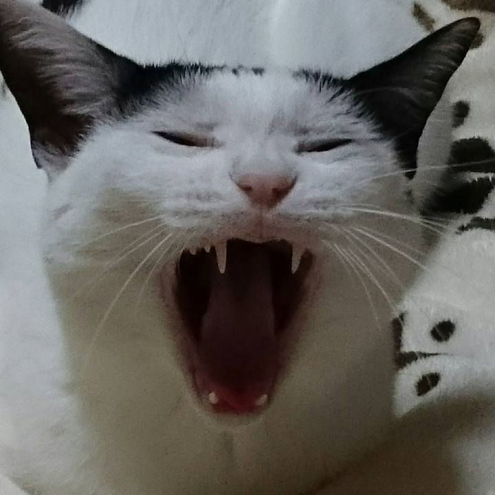 A981cf96 6d6e 4e59 9940 3b0d52927097