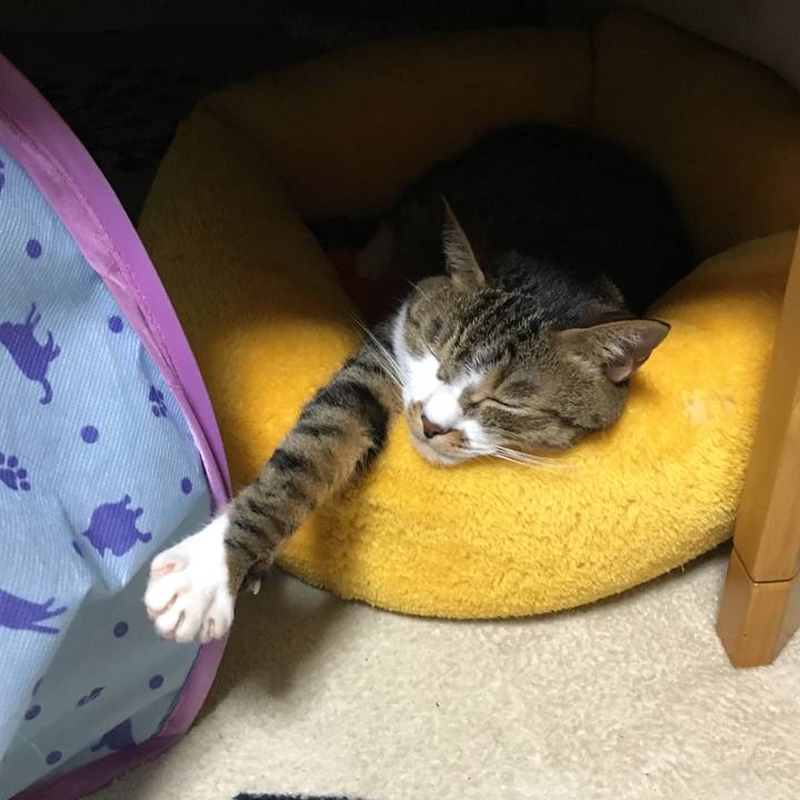 A9838e96 bd3e 4ac4 a2ff 3f97f9d03f2f