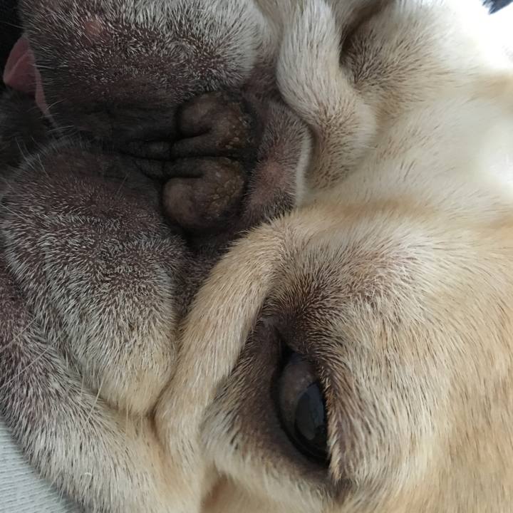 A983e9bd 12f4 47b9 baba 8d835ddfc0bb