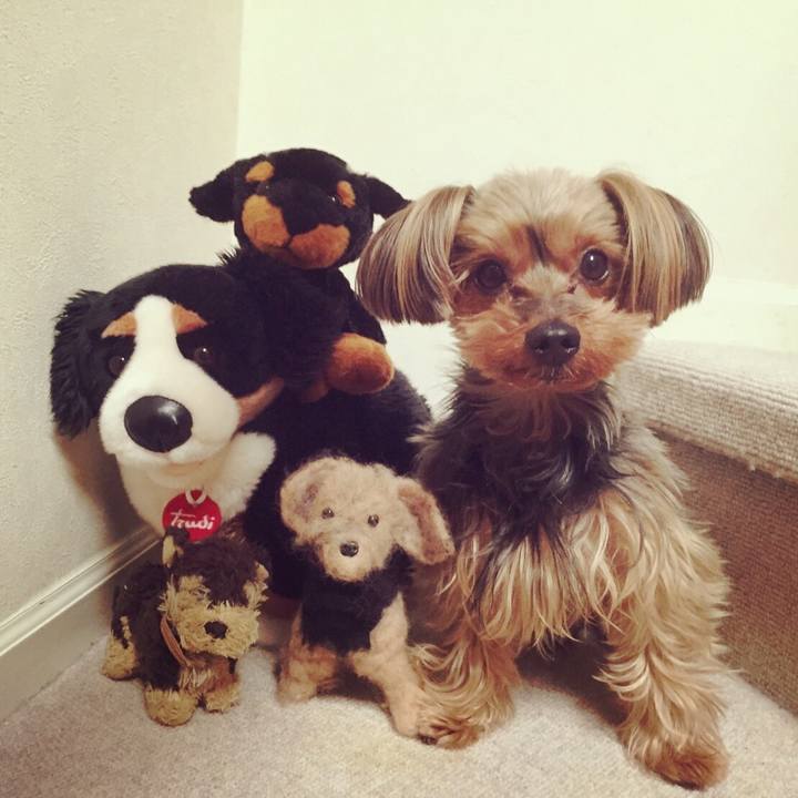 A9846db6 2cab 4c00 a001 5da81bdd1e57