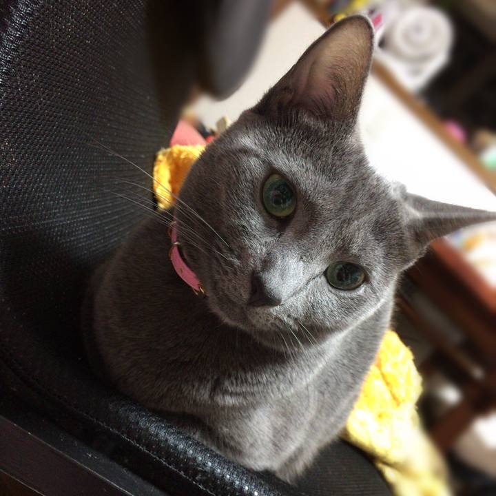 A98568d5 17e9 4620 9ba1 716a3bb28dd1