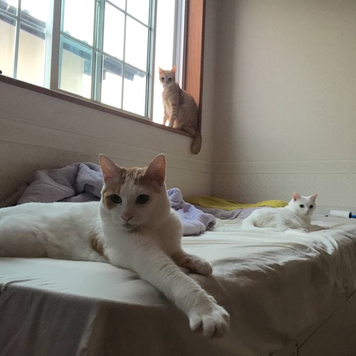 A985e157 69e8 43da 8d63 1e33ba52e914