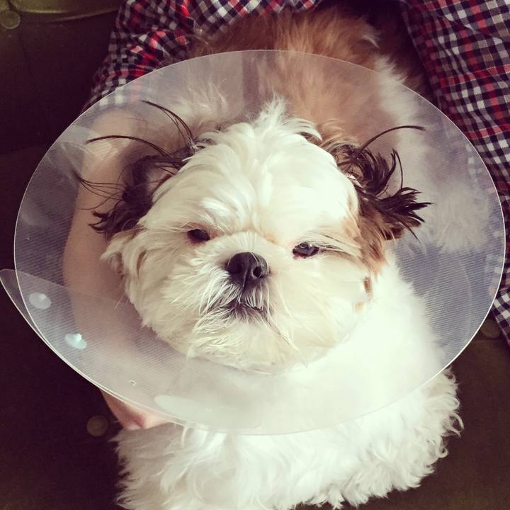 A985f676 feb1 420d 9e85 2c46962a3108