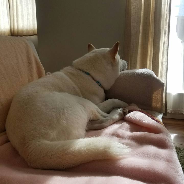 A98643d6 46b8 48ac b9f7 f96921d38b8d