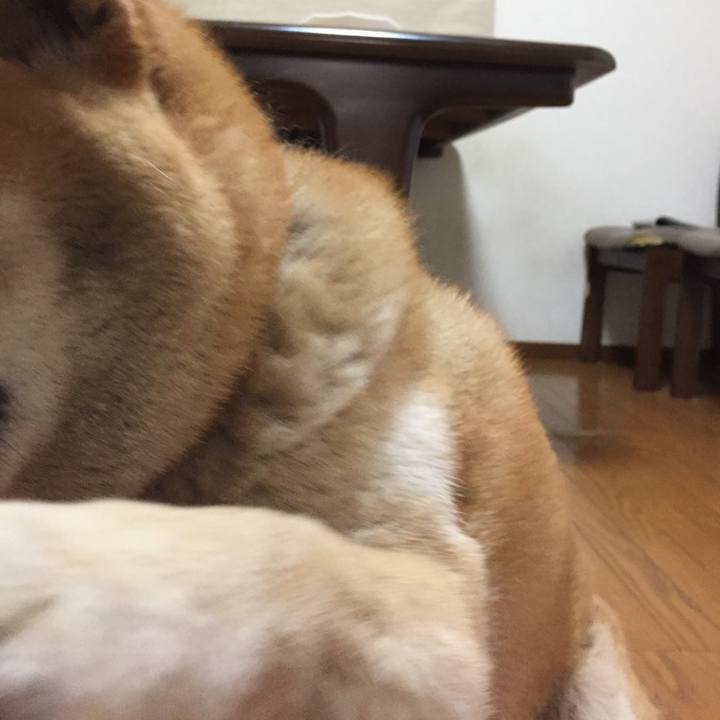 A9865a1e 30b5 4254 b2f8 406583c592ab