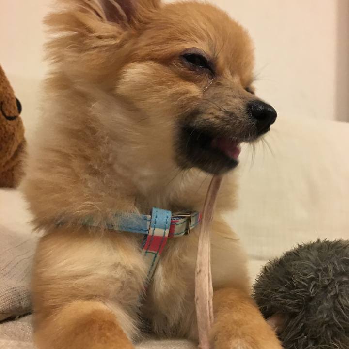 A986f784 a5e5 4fb5 a87f d9669ecceae9