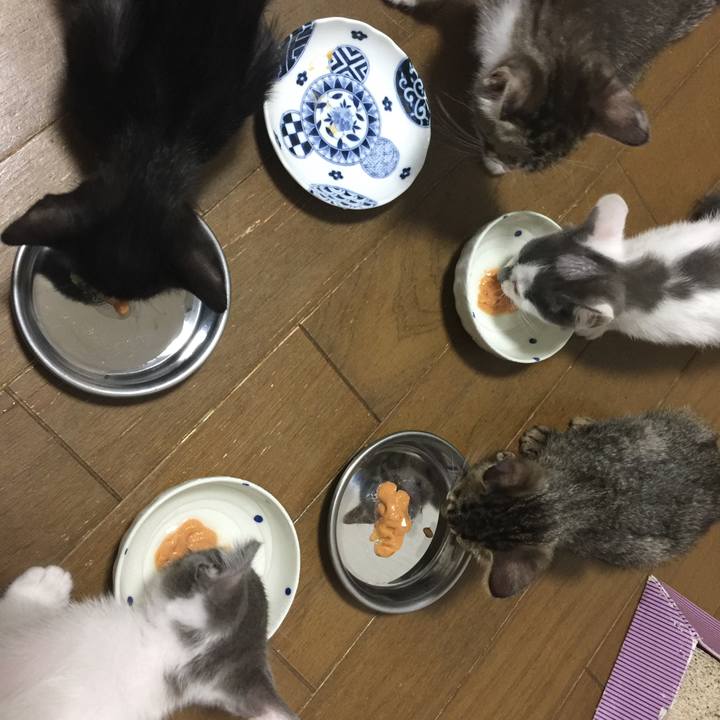 A988133c b9cd 45a7 8fb7 6b8322ac6d9a