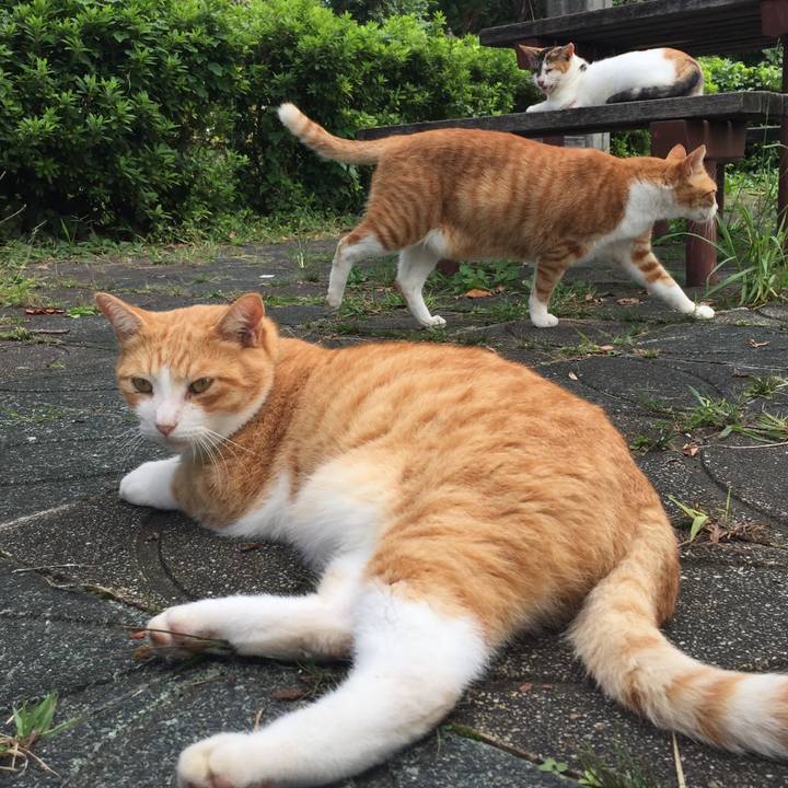 A9881a7d 92fd 43a3 b217 fcf36aa74f5e