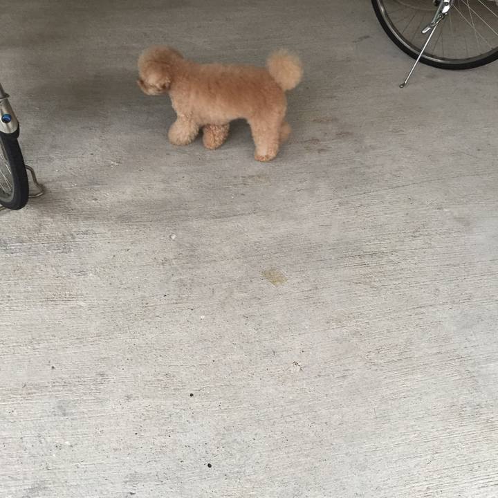 A9881aaf 5149 4a6f ac37 77dbda48e790