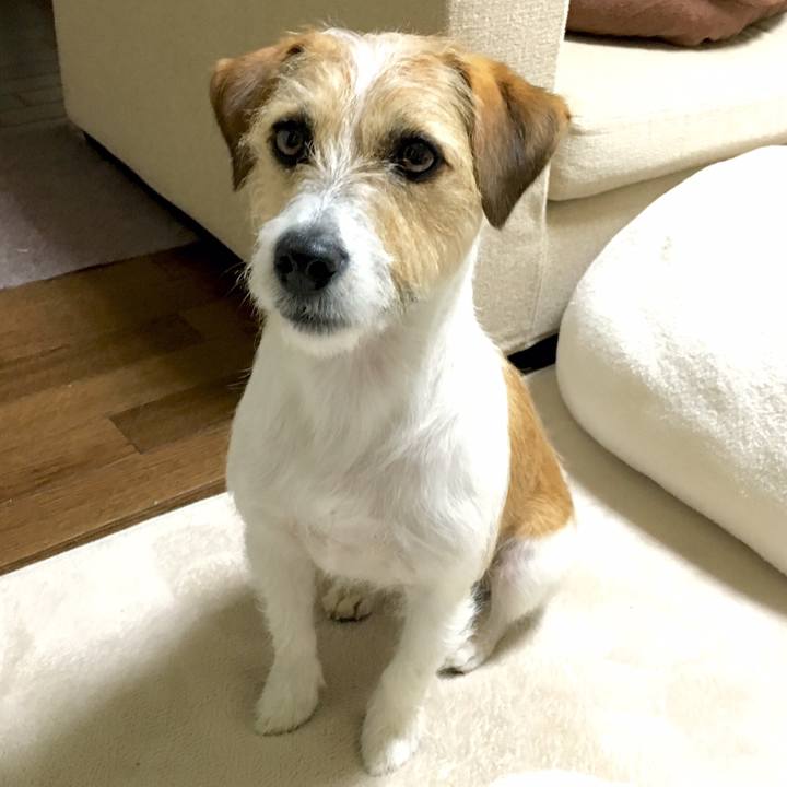 A9882a4f 9850 4ea4 aff2 3f16e7f850d7