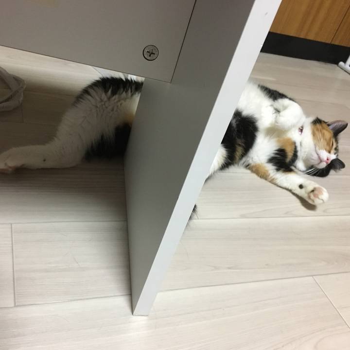 A9888631 7f08 4eb8 97e8 351dd4826e07