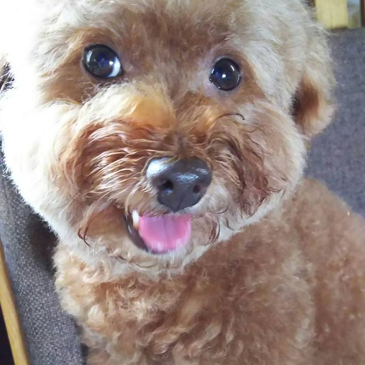 A988f1cb 66f0 4121 b44b 4820c1474790