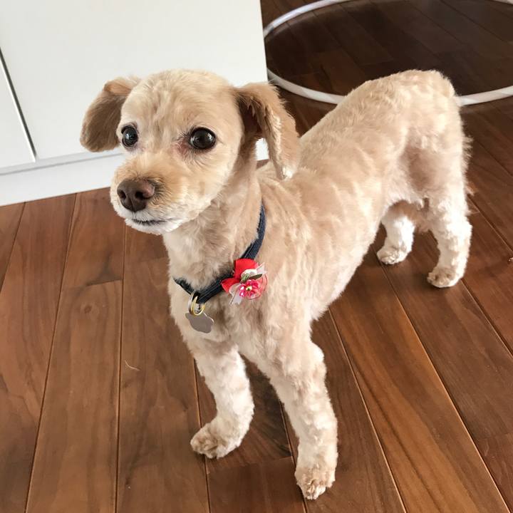 A988fd45 8341 4533 8c37 493d8e6783da