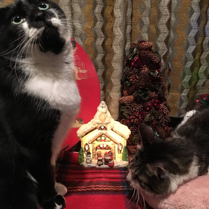 A9891c06 0878 4a60 b10e bcedf33e6bdc