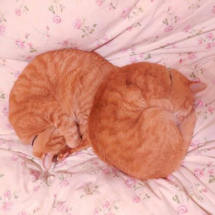 A98a1a98 7f02 420e a445 54f1b253c115