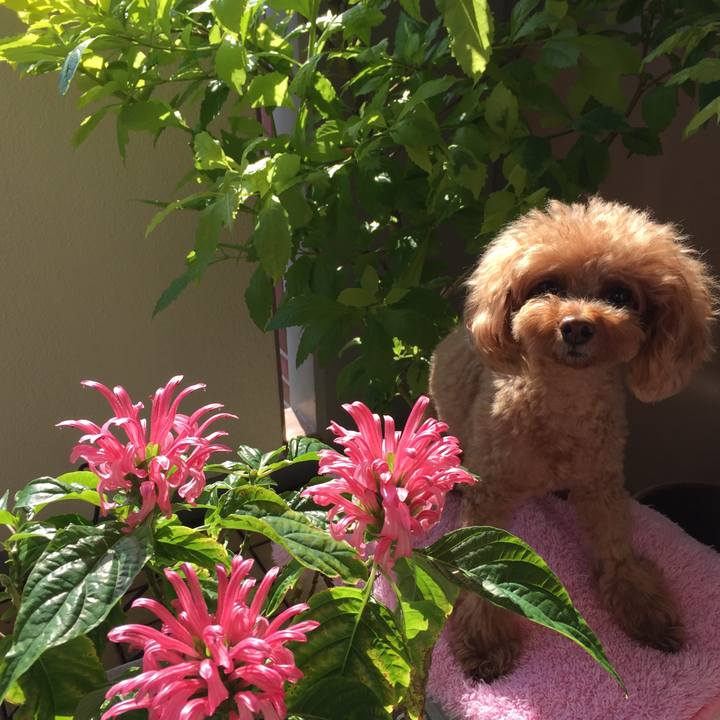 A98a3be5 4d29 4a6f bd16 6463e3f5d2d4