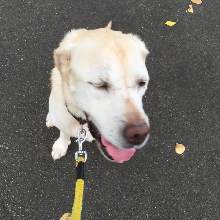 A98a6966 b130 401d 8f42 8115610f32b8