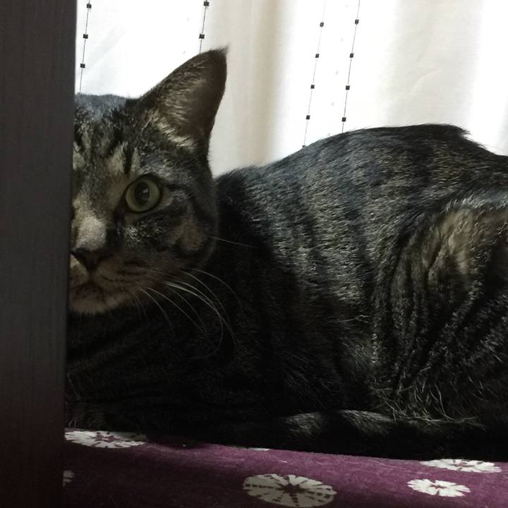 A98b0771 c937 4591 b521 7dc82f3fda62