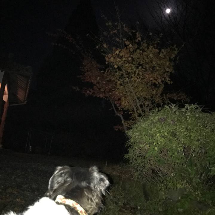 A98b08a9 ff55 4e43 a18d e1974d0f5c8c