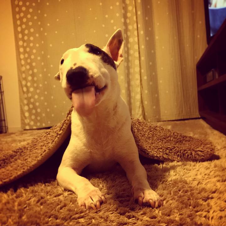 A98b1417 ab48 4ffa 86c2 3e52ea820f2f