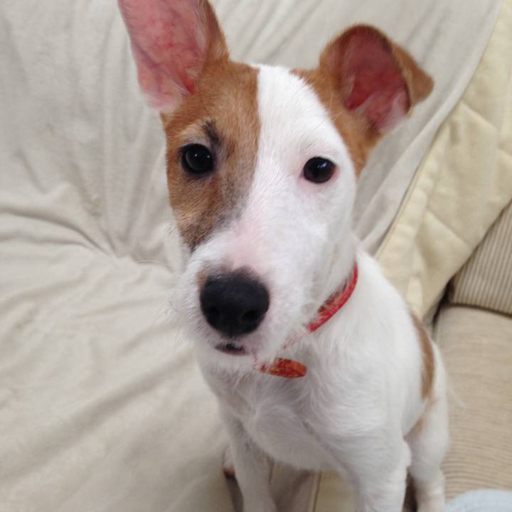 A98b1bbe 8626 4250 b773 320d408e529b