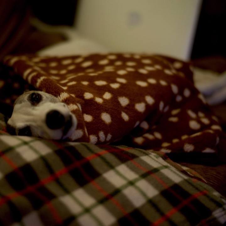 A98b2621 2af7 43fb 9d8d db6886d2ec7f