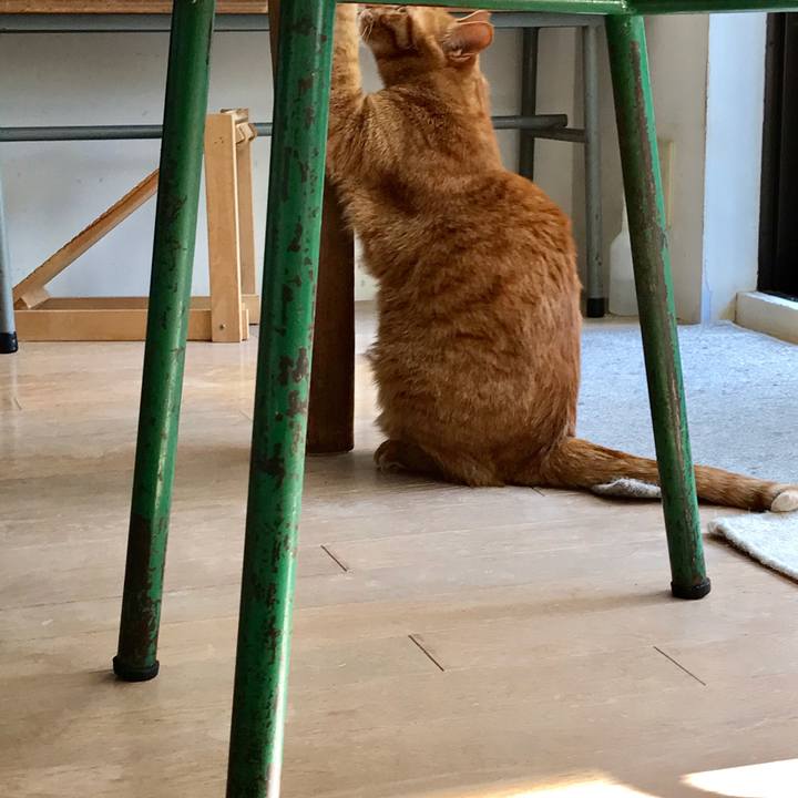 A98b3401 1da2 444e 89ce 7ee8d644b228