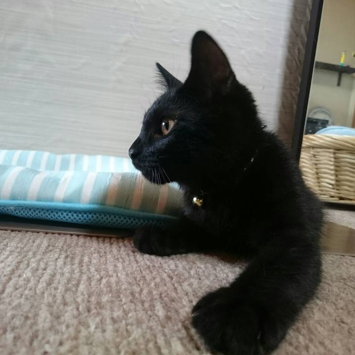 A98b7ca5 394d 445f 9c61 b9168b0de322