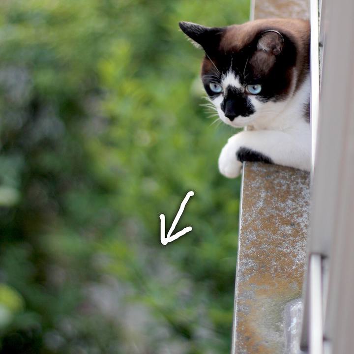 A98c819f cba9 465a 96a3 67a9b71feba8