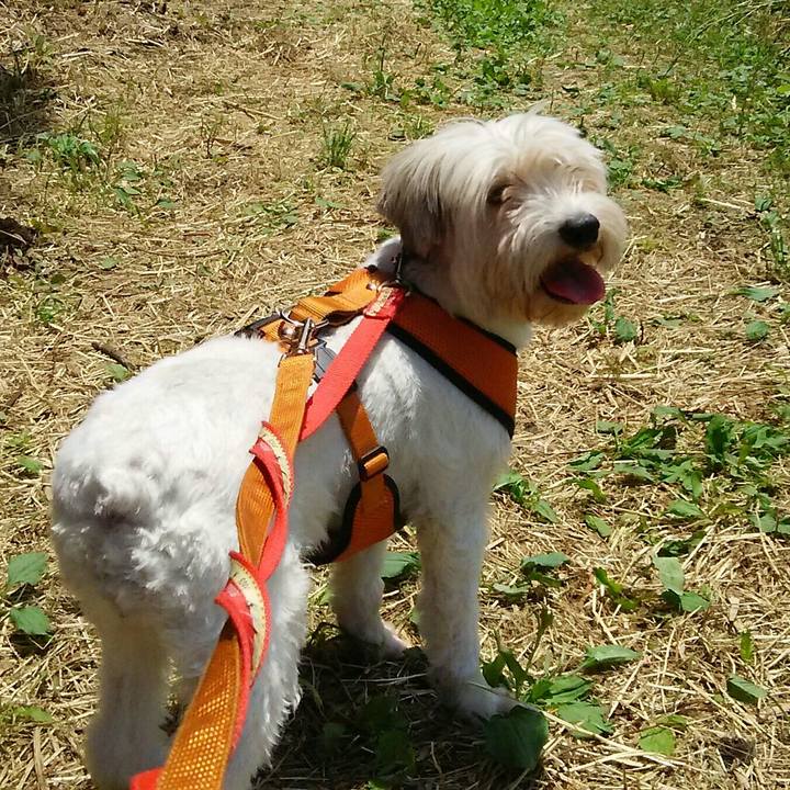 A98cac71 88fd 478a 92c4 237af97111ce