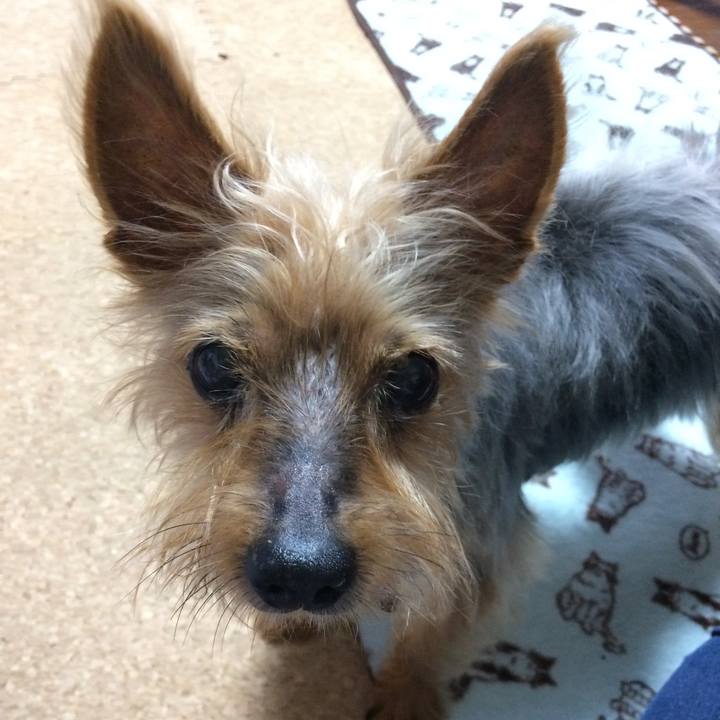 A98cf18b 7ae8 4880 979b 1d107abd213d