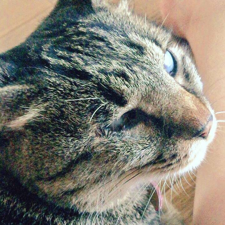 A98d4052 551f 4961 9643 b96f14a93a59