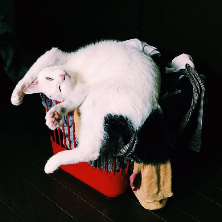 A98d6350 a195 4546 bdc0 cd0035c0438c