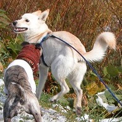 A98d69b3 32f4 491a 812f b99f11a283ef