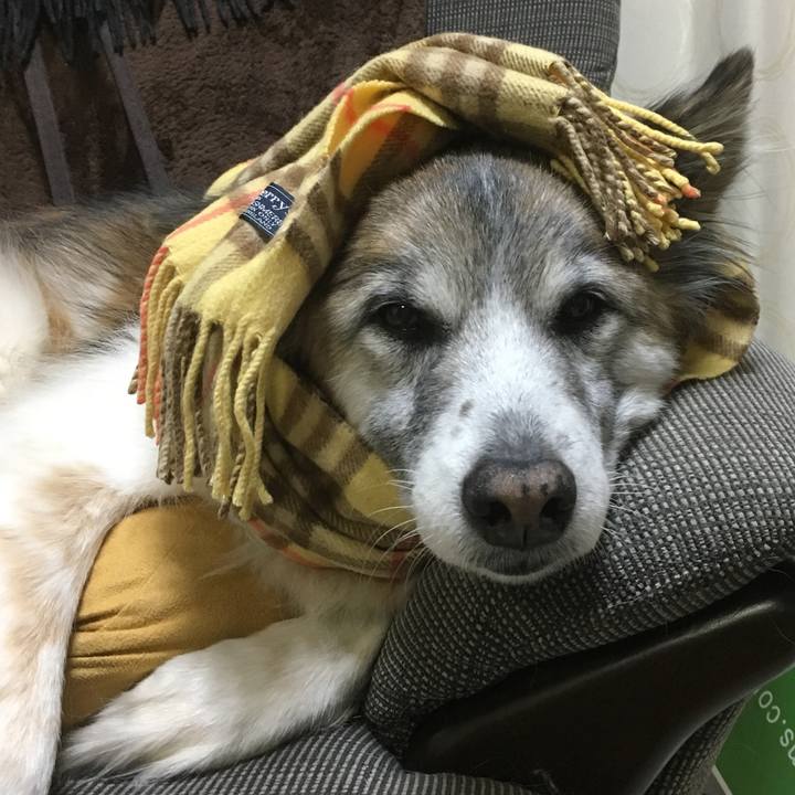 A98dcf3a b3cd 4282 935f 56e27348052e