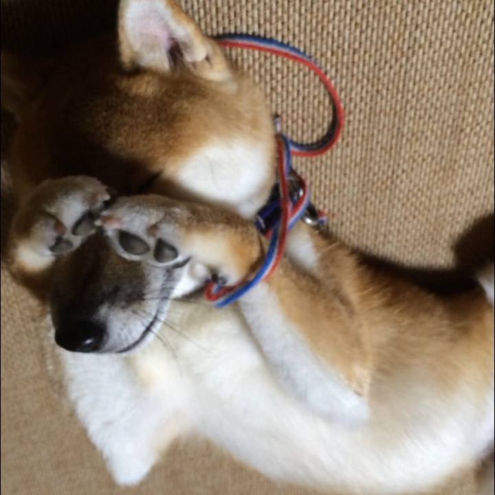 A98de55f c472 4e67 8ac5 8a7c9b0ee907