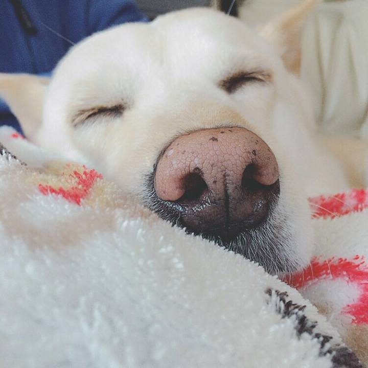 A98e0921 0480 46d3 998c 201d5c230bfc