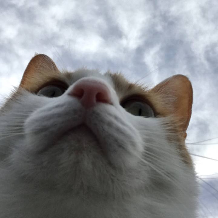 A98e31cb 79aa 468e a8e2 2bb09170eacf